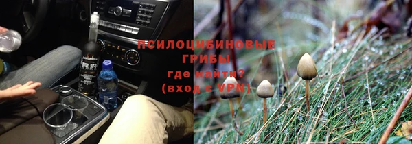 ПСИЛОЦИБИНОВЫЕ ГРИБЫ Армянск
