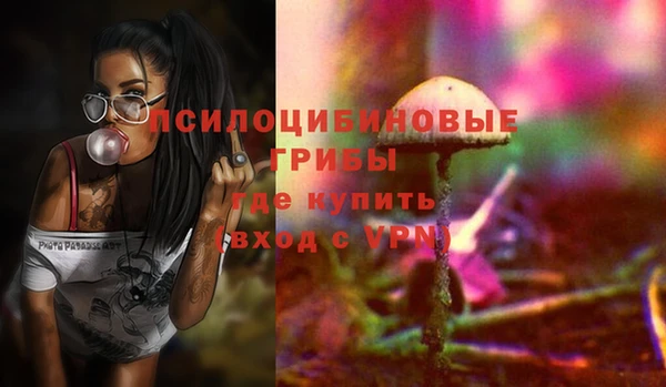 ПСИЛОЦИБИНОВЫЕ ГРИБЫ Армянск