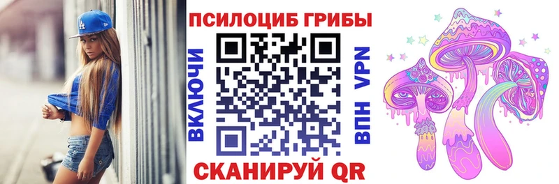 где найти   Пошехонье  кракен зеркало  Галлюциногенные грибы Cubensis 